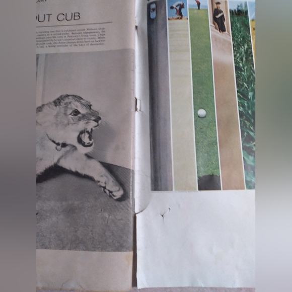 Life Magazine " Batman Issue" - Picture 7 of 11